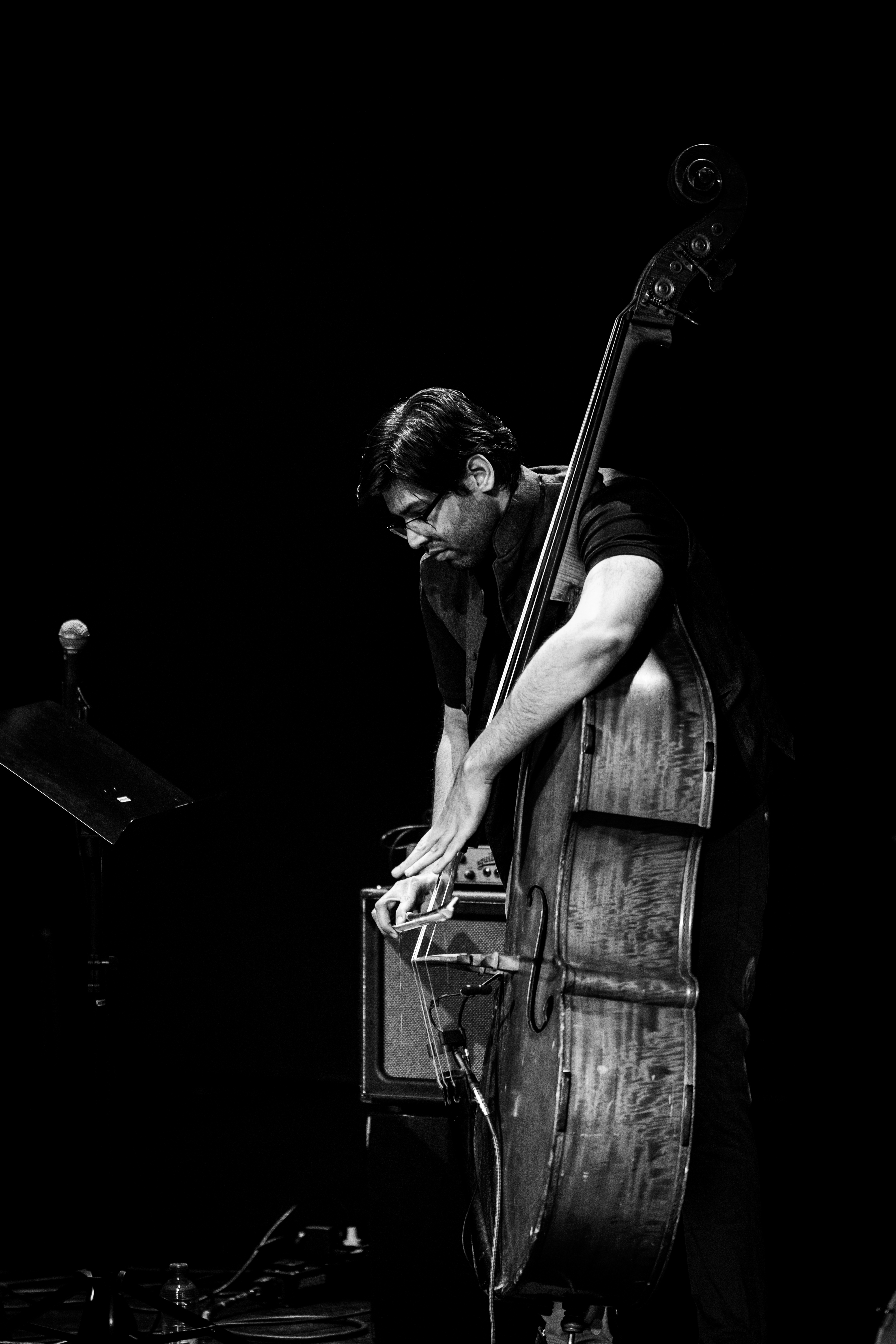 Illustrated portrait of Vishal Singh with his double bass
